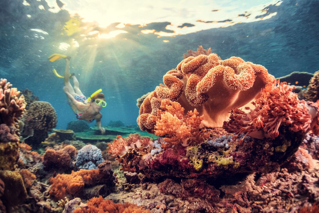 Snorkelling in the coral reef of Pemuteran beach