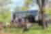 Overland Vehicle