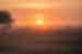 tanzania serengeti sunset