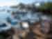 Puerto_Ayora.jpg