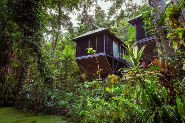 Daintree Ecolodge