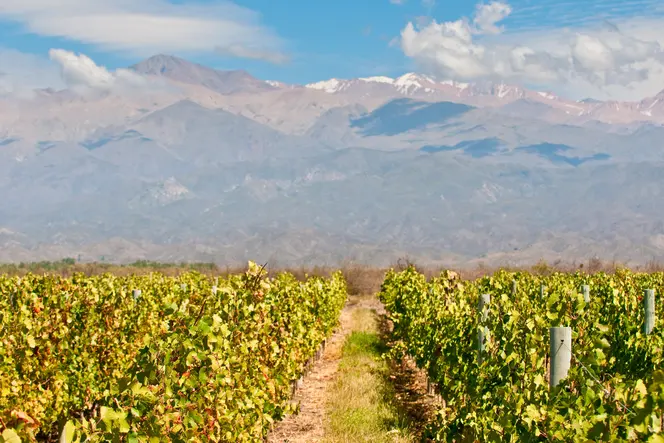 Premium Peru, Chile & Argentina | Intrepid Travel EN