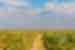 Peregrine Adventures argentina mendoza vineyard mountains green