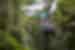 Traveller enjoying a zipline ride in Mounteverde, Costa Rica