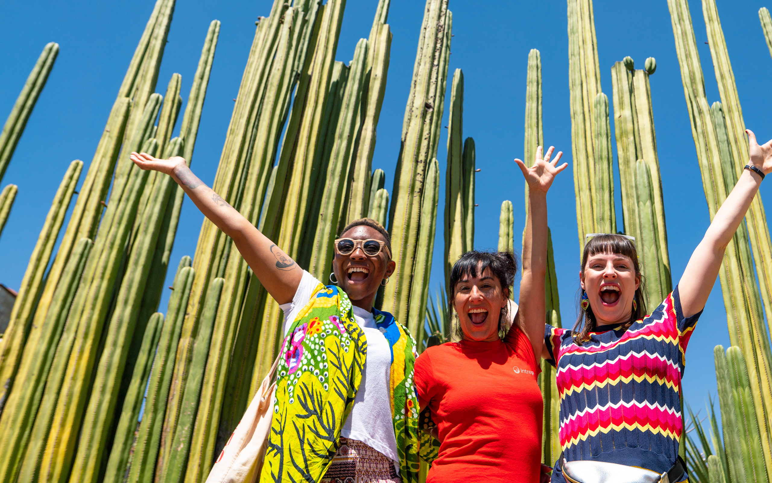 Travelers Infront of cactus trees