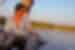 Traveller running fingers along water on Okavango Delta while riding in canoe, Botswana