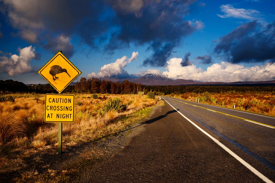 Kiwi crossing sign in the New Zealand landscape