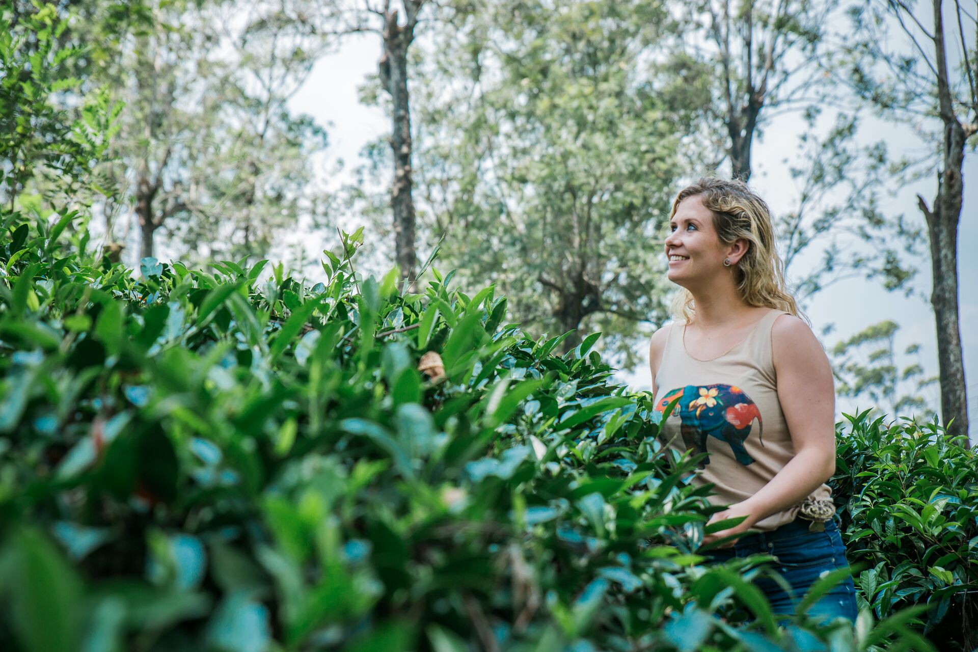 Tour the incredible tea plantations of Sri Lanka's countryside