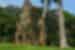 Cambodia Angkor Wat Group temple