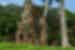 Take in the beautiful temples and scenery in Cambodia