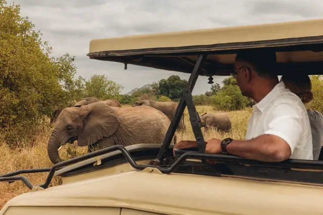 Premium Kenya & Tanzania | Intrepid Travel AU