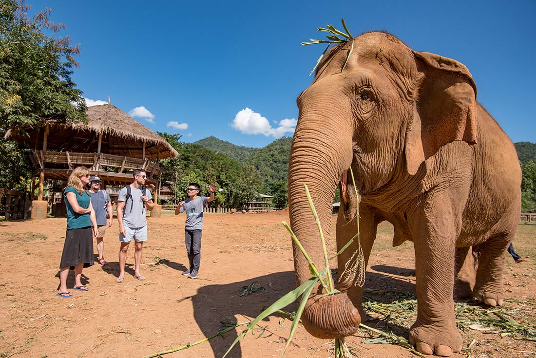 TTPT - Learning about elephants at the Elephant Nature Park, Chiang Mai Thailand 