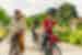 Group of Intrepid travellers and leader with happy faces cycling in Ninh Binh