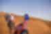Travellers riding camel's in the Sahara, Morocco