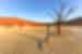 Sesriem Namib Desert