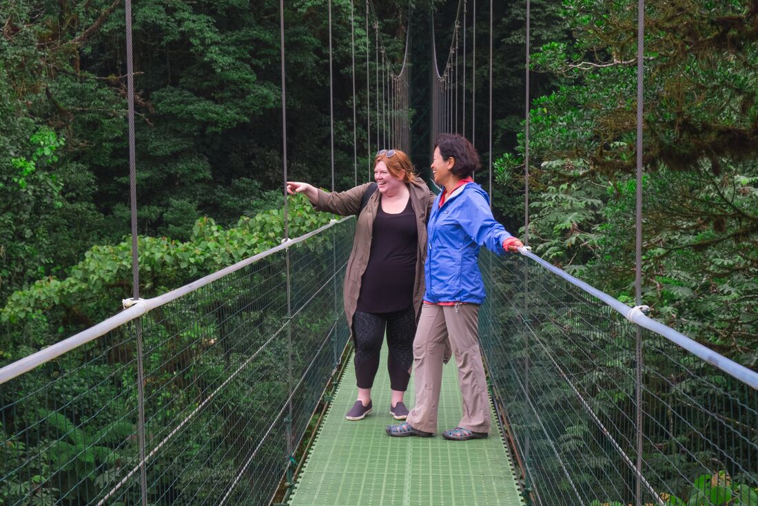 Cross the high canopy of Monteverde rainforest