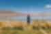 bolivia_uyuni_woman-looks-over-salt-flats-grassy