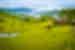 Green fields at Toraja Village, Indonesia