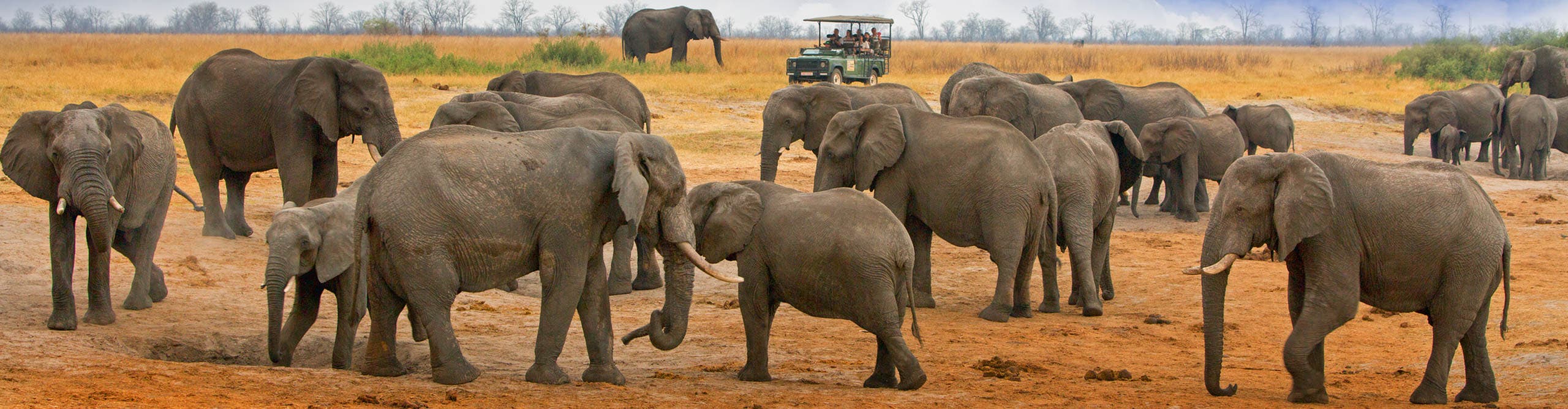 Best Zimbabwe Tours & Vacations 2024/2025 | Intrepid Travel US