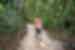 Woman walking on path through rainforest in Mossman Gorge