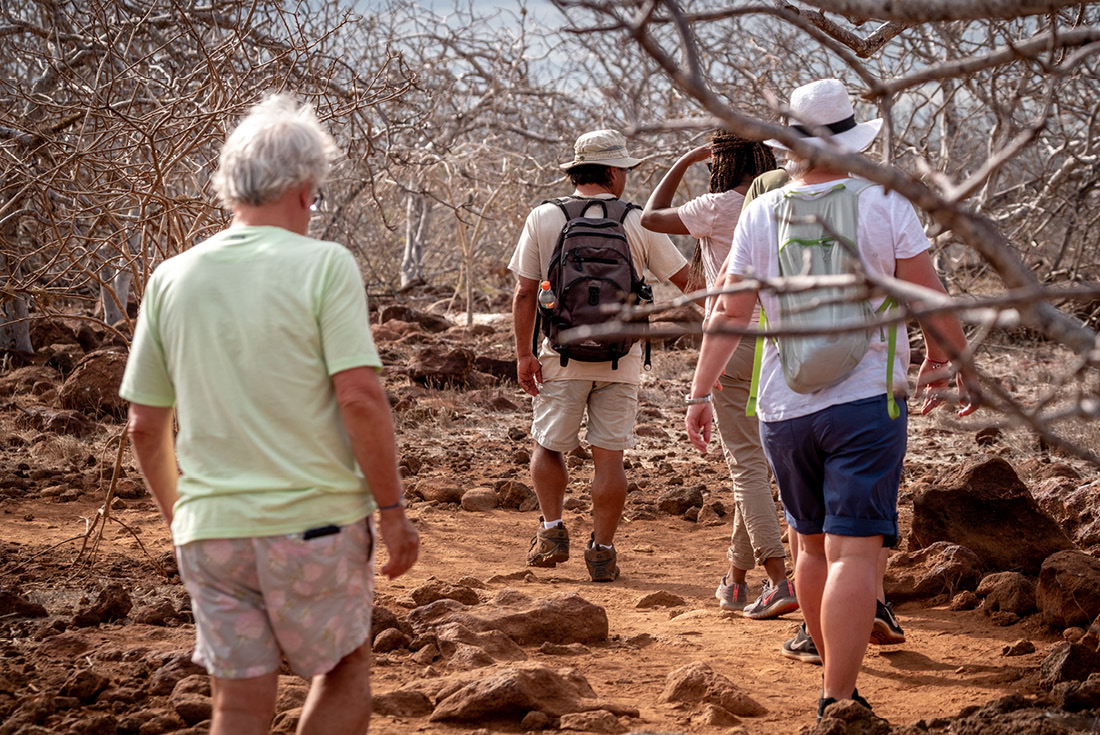 Galapagos Islands Tour Package: Explore Ecuador - 17 Days