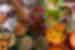 Antigua Food Spread