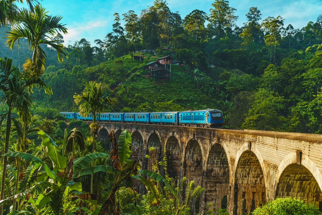 Sri Lanka Premium Family Tour