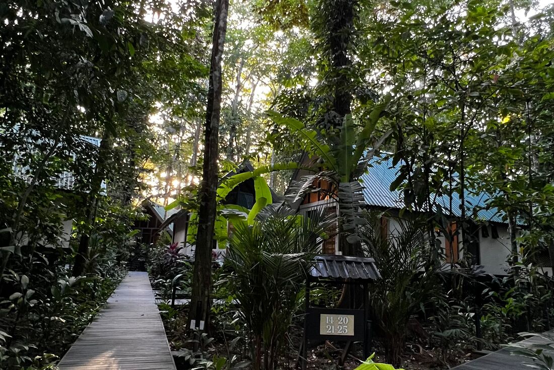 Almonds & Corals Boutique Hotel grounds