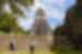 Two middle aged travellers walk toward the towering Temple of the Jaguar in Tikal Guatemala