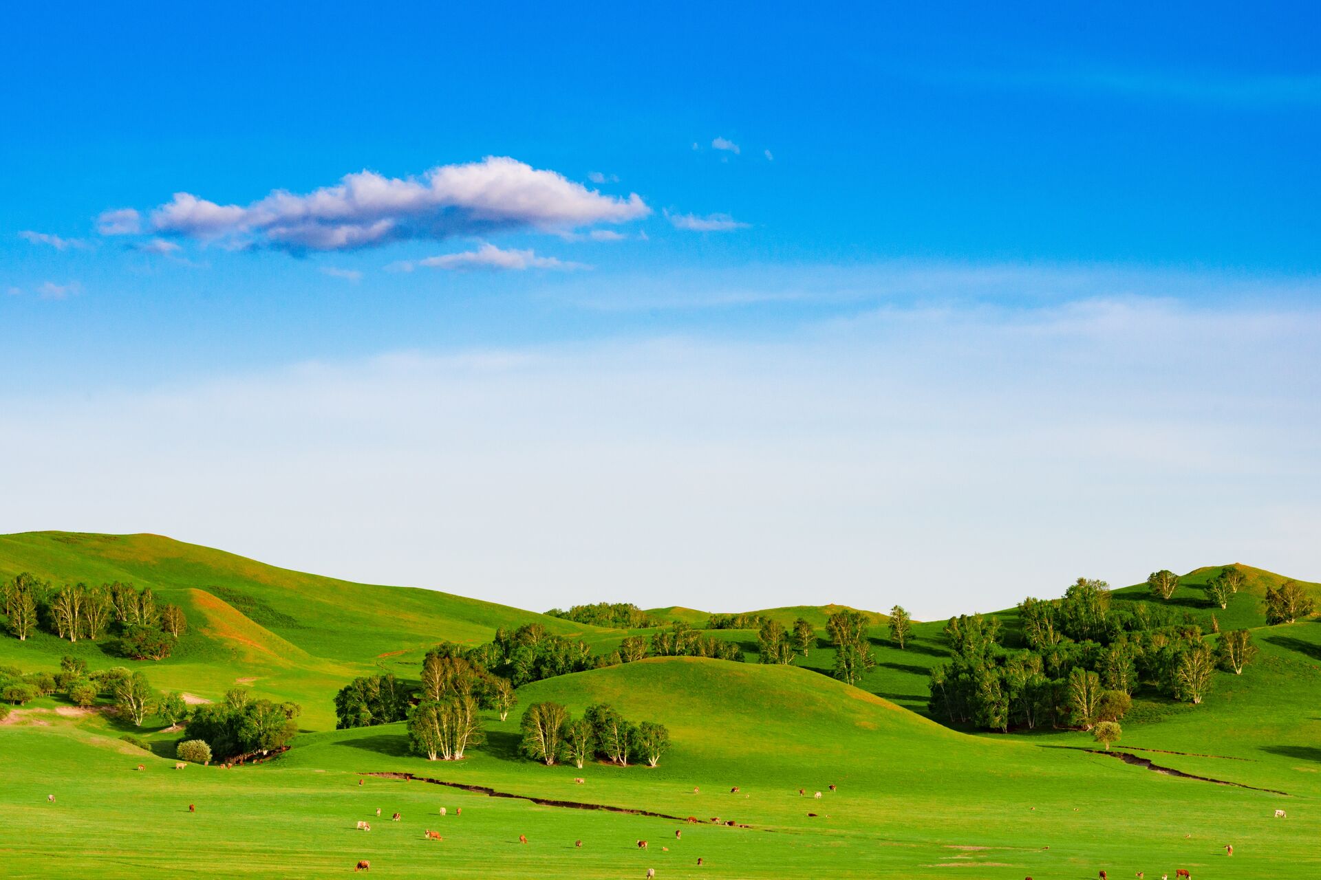 The incredibly picturesque rolling hills of Ulan Butong Grasslands in Inner Mongolia, China