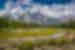 SASY - Grand Teton National Park landscape and greenery