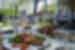 Chianti Feature Stay: Wine tasting