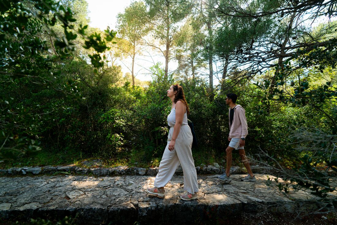 Travellers walking in green forest in Mljet, Croatia