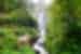 View of Peguche Waterfall surrounded by green vegetation in Ecuador