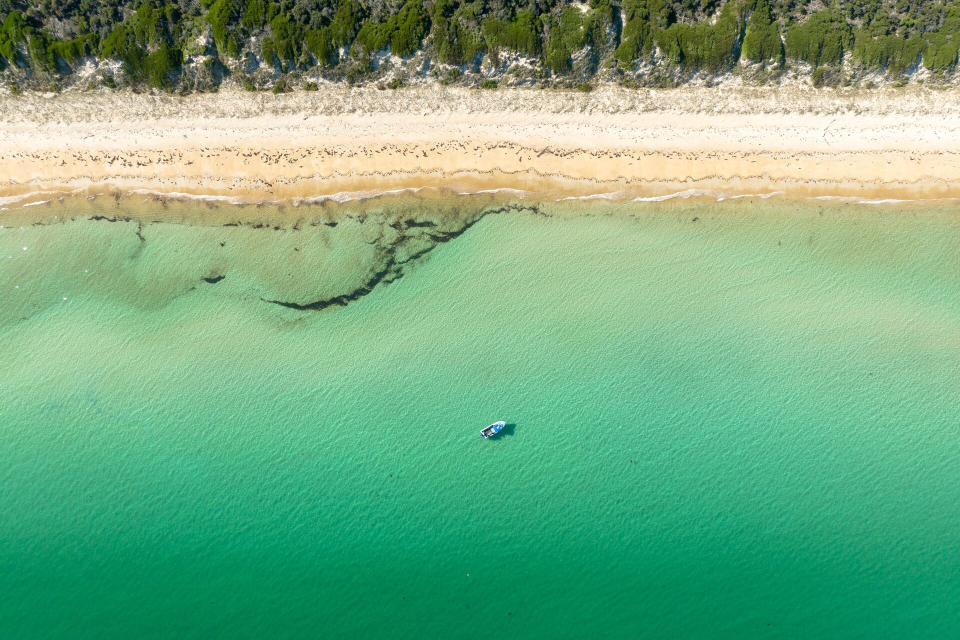 Take the boat right onto the sands of Freycinet