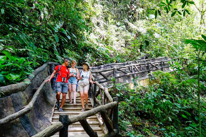 Three travellers holding binoculars walk through the bright green jungle of La Fortuna in Costa Rica
