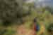 Guide gestures Into Bwindi Impenetrable Forest in Uganda as travellers trek into it beyond him