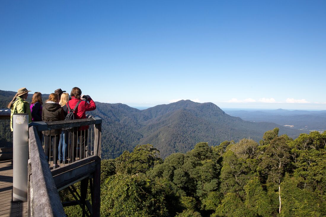 Leader taking travellers bird watching in Dorrigo National Park in New South Wales, Australia