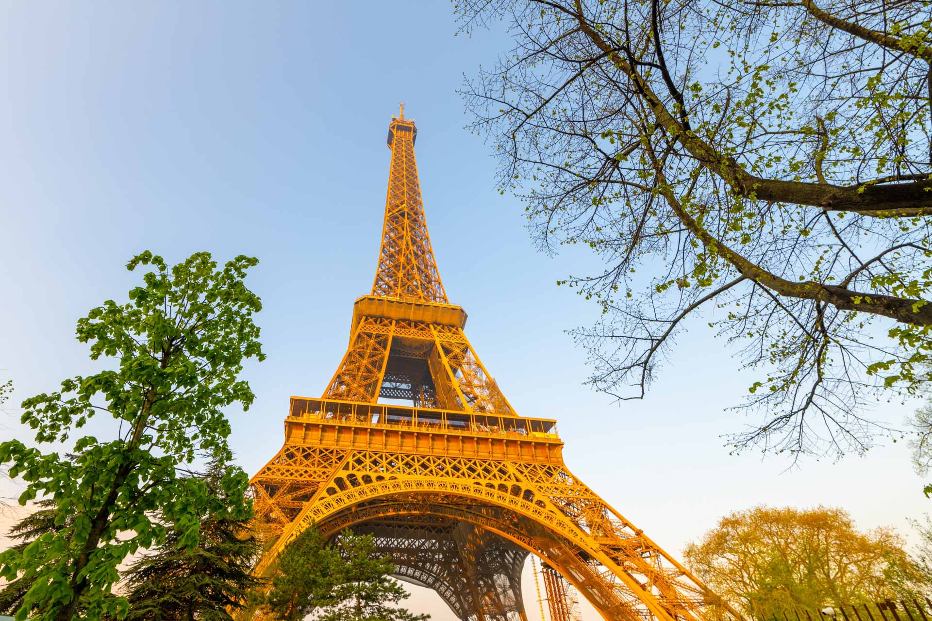 Eiffel Tower at sunrise