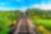 Train tracks lead across a small bridge through the jungle rainforest of Malaysia