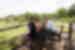 Relax in the sun at Hwange National Park