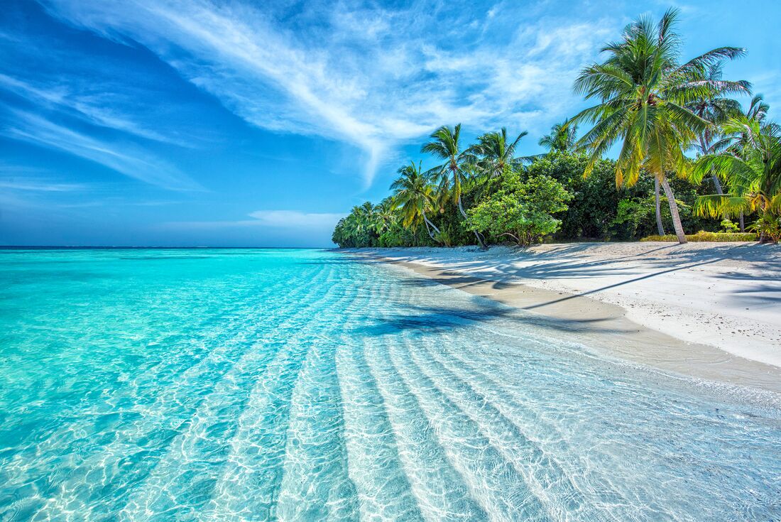Sail Maldives