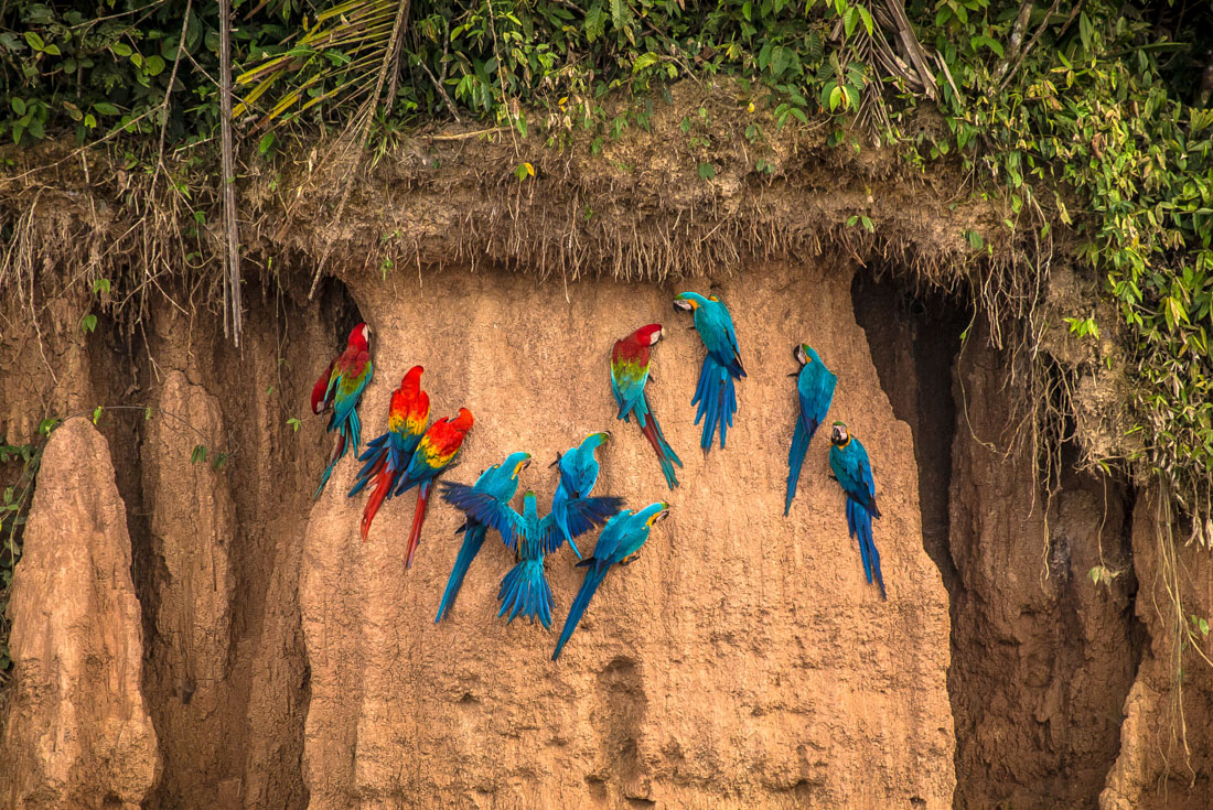 Amazon.com: Travel With Kids: Peru : Nathan & Seamus, Jeremy