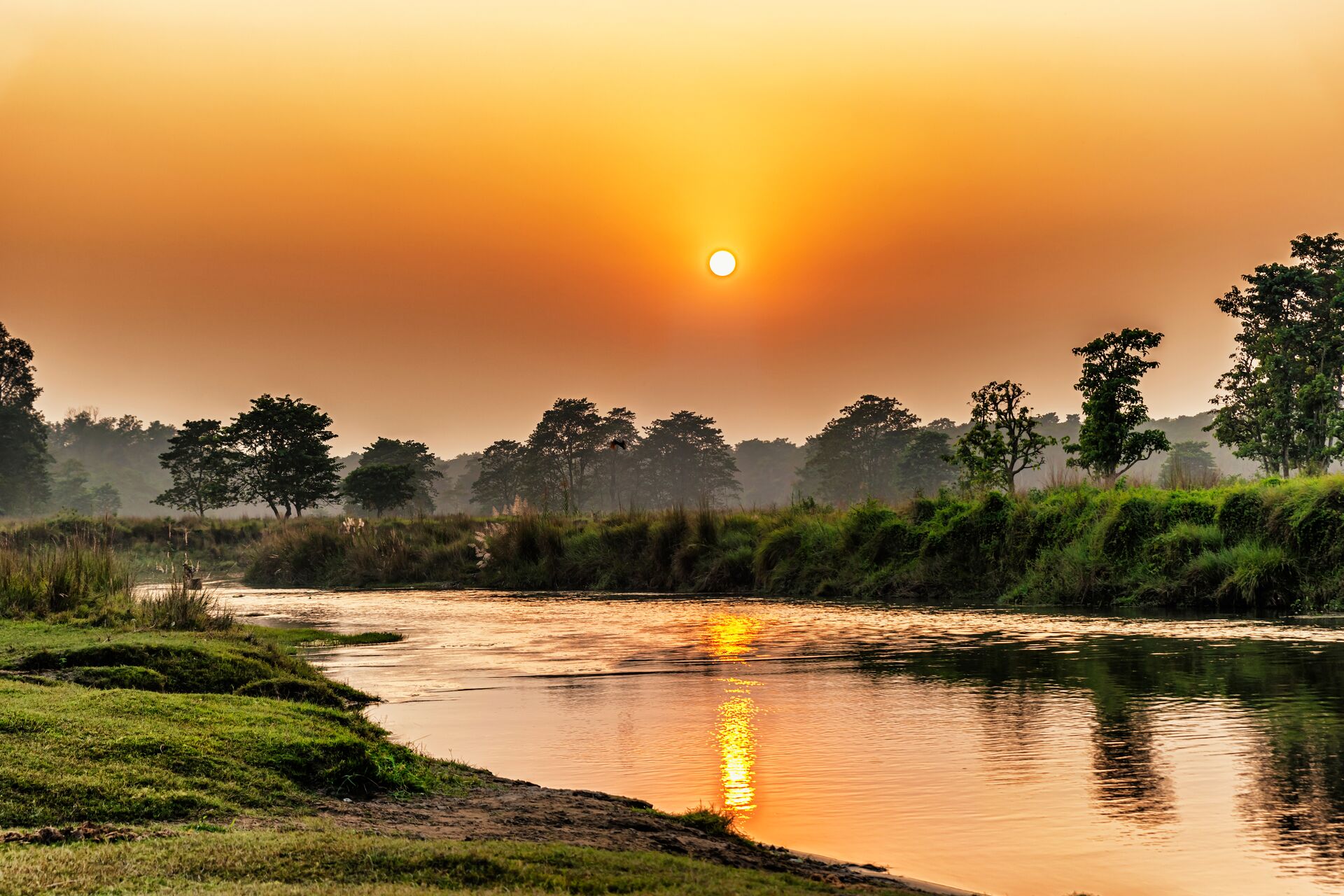 Sunset on Chitwan National Park's forest on the shores of Rapti River