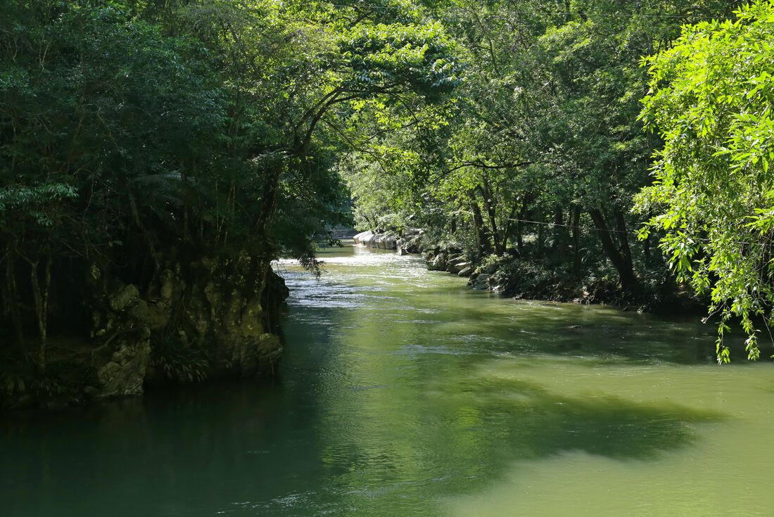 River surrounded by green rainforest in Rio Claro, Colombia