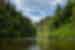 The Whanganui River going through thick green forests in New Zealand