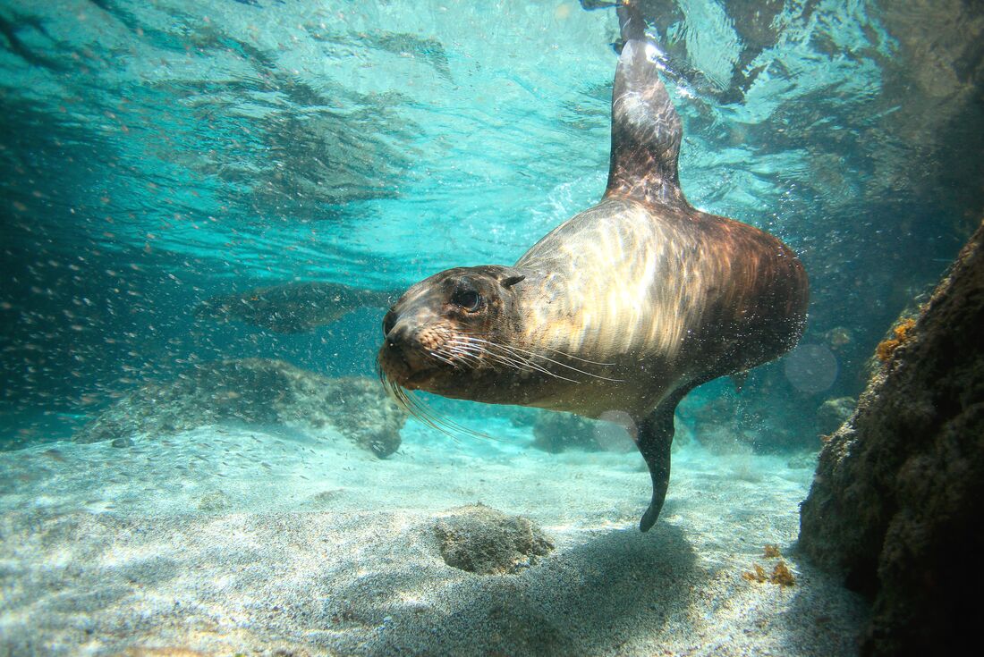 Galapagos Family Holiday