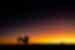 The gentle orange purple glow of the sun rising over the landscape with trees silhouetted in the Red Centre of Australia