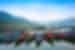 Colourful boats on Phewa Tal Lake, Pokhara