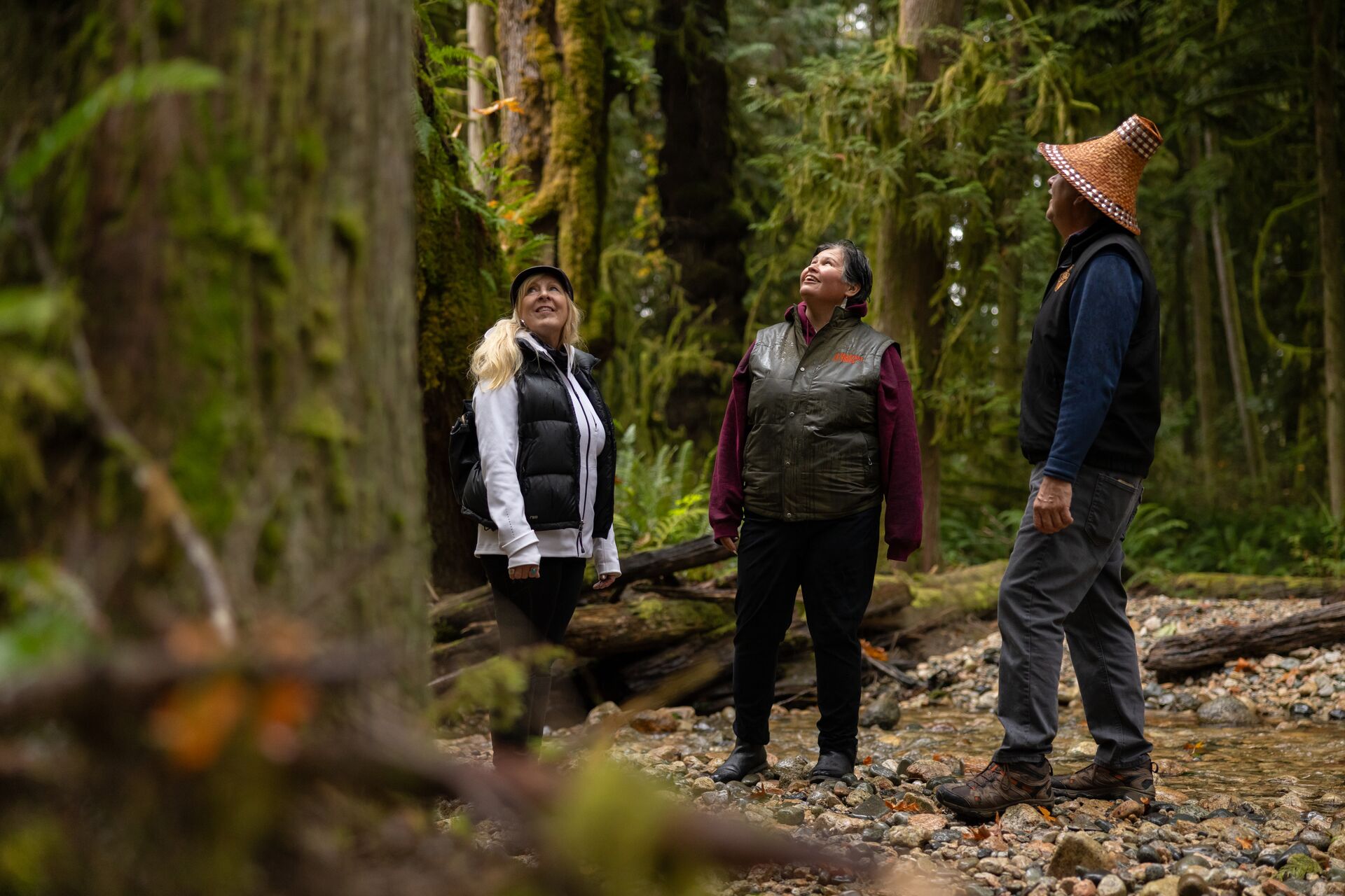 Exploring the forests of Canada's Rockies with Indigenous guides with Talaysay Tours